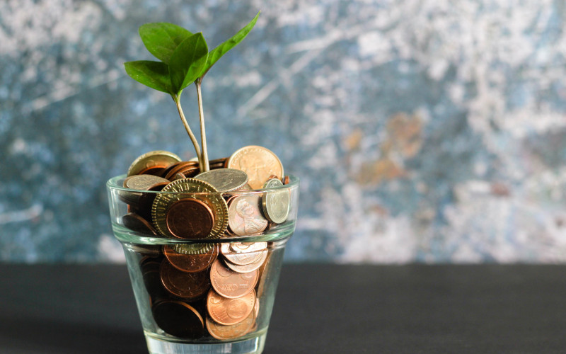 green plant in clear glass vase filled with coins