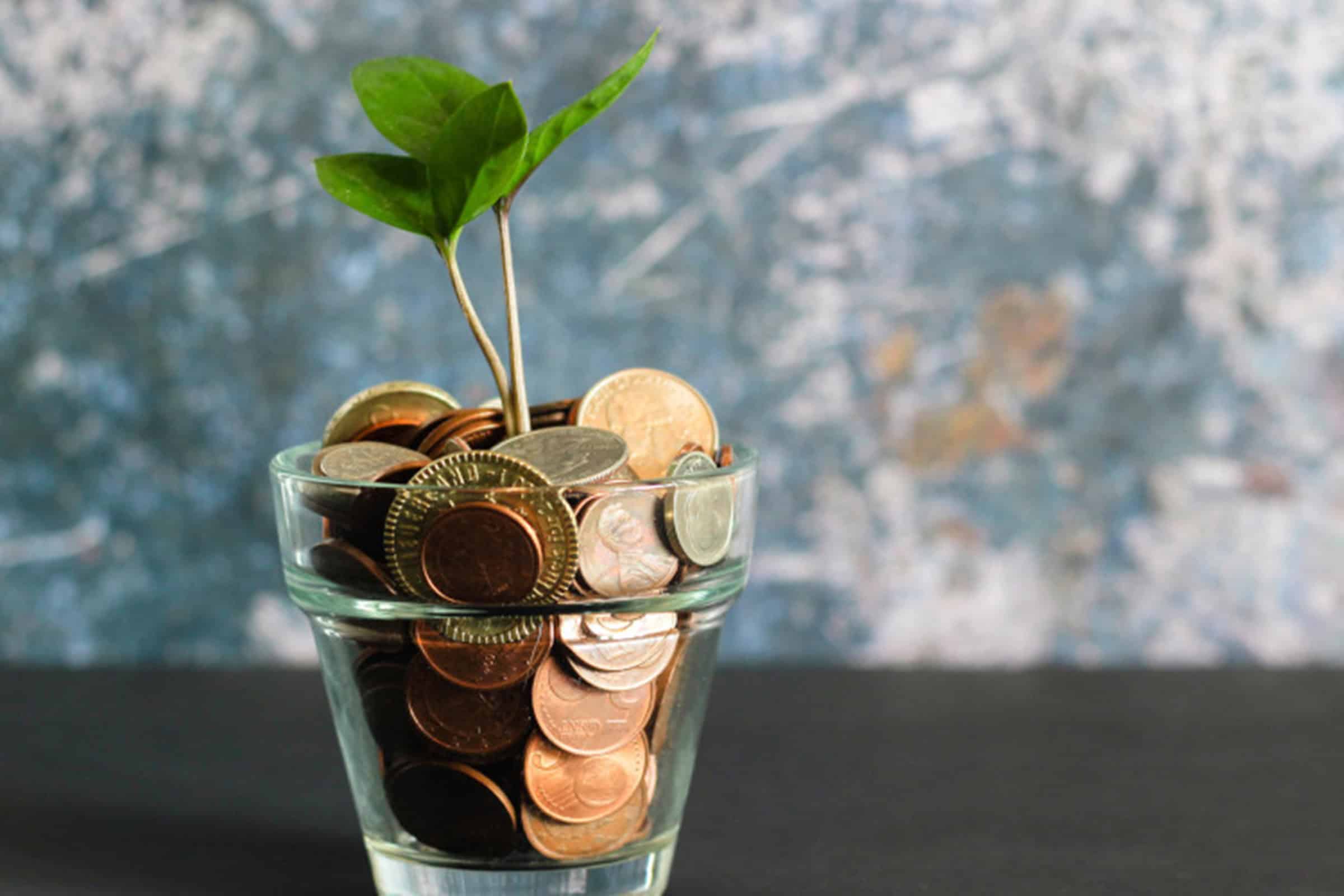 Plant growing in a flower pot of coins